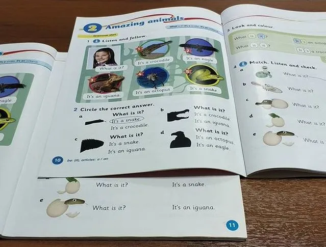 Книги в мягком переплете (КБС) — пример работы типографии